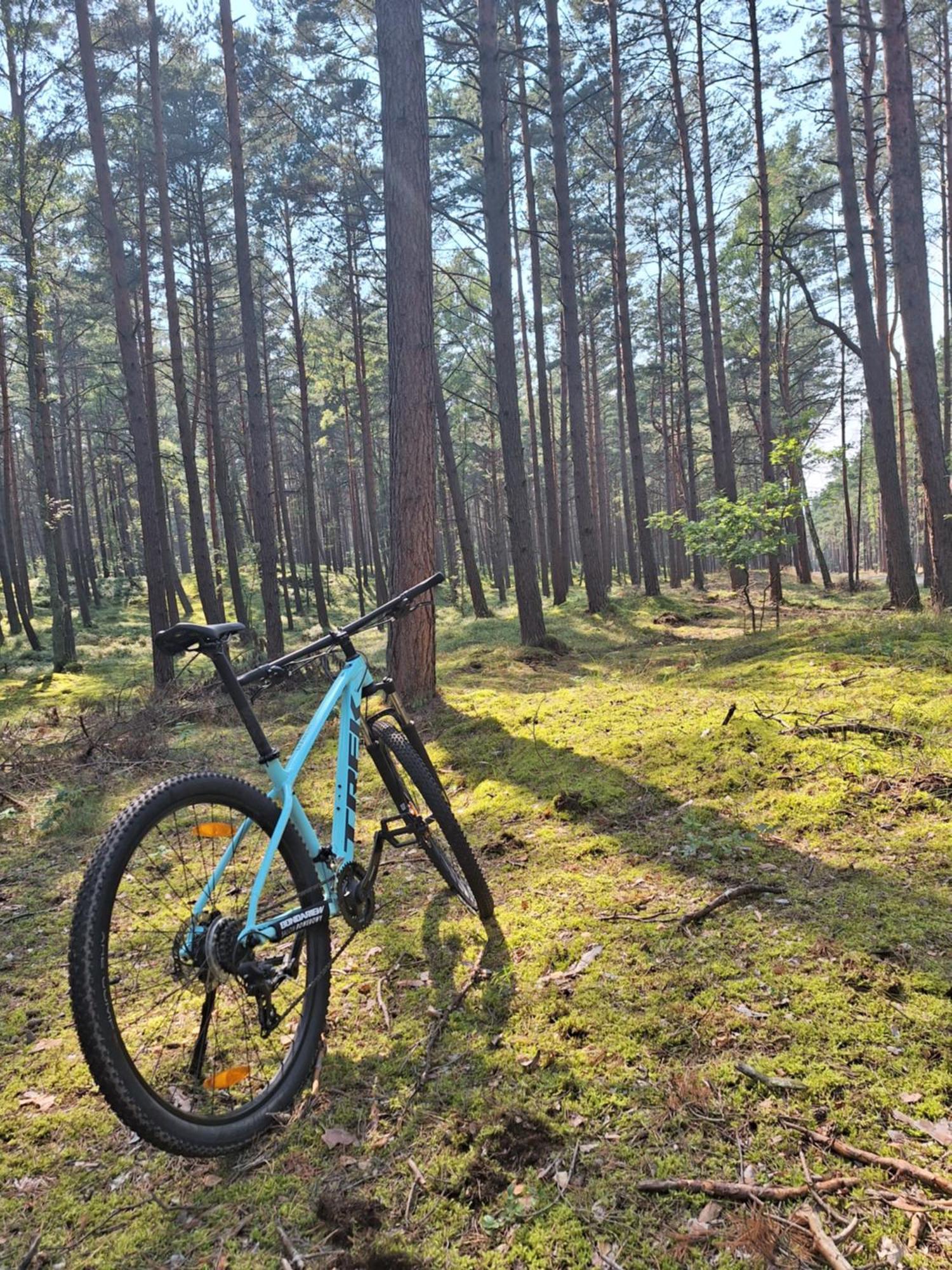 Pod Grabami Kotimajoitukset Gdańsk